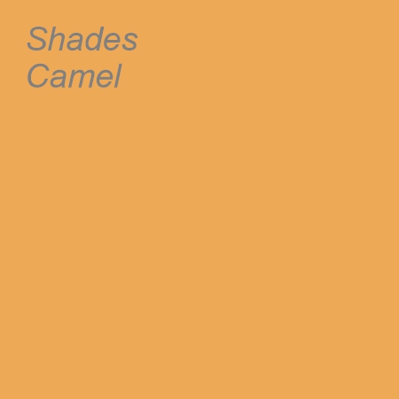 Shades Camel Colour Swatch