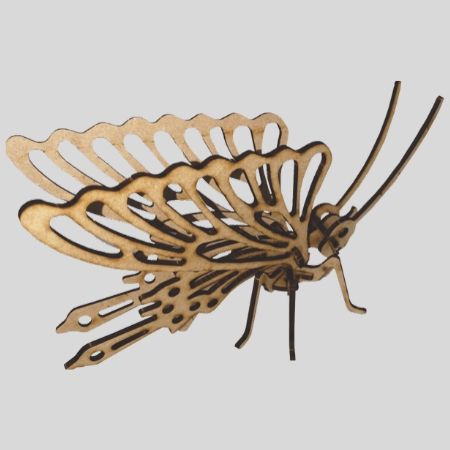 Laser Cut - 3D Insect Model - Butterfly