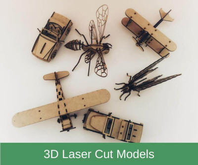3D Laser Cut Models & Puzzles