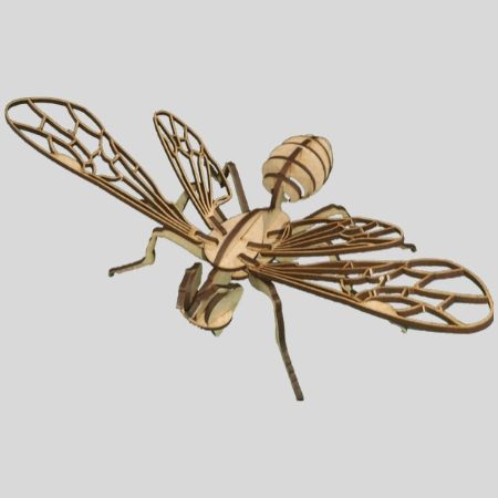 Laser Cut - 3D Insect Model - Bee