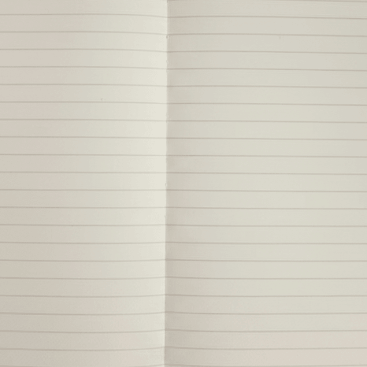 RBE Dirt Road Notebook (Stormy Sky)